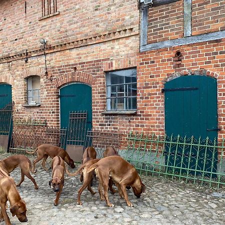 Bauernhof-Streichel-Zoo-Kombi-Familien-Suite-Im-Wald-Am-See Gulow Luaran gambar